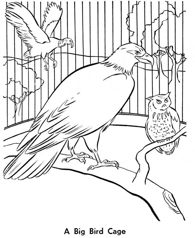 Free Printable Zoo Coloring Pages