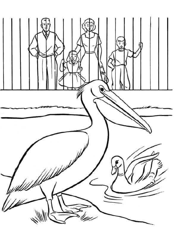 Free Printable Zoo Coloring Pictures