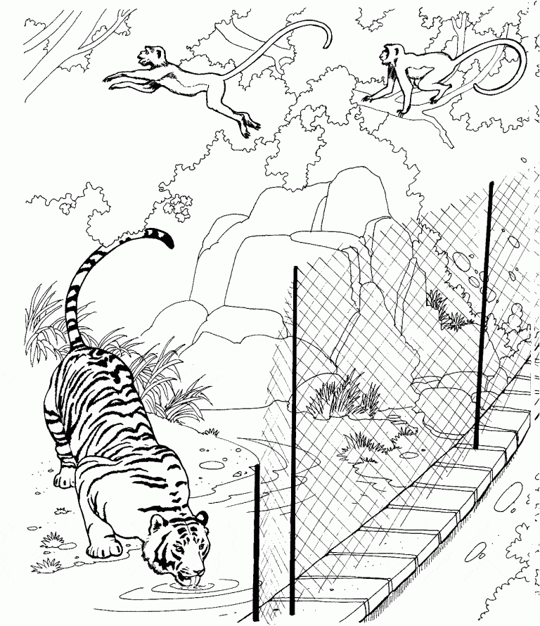 Download Free Printable Zoo Coloring Pages For Kids