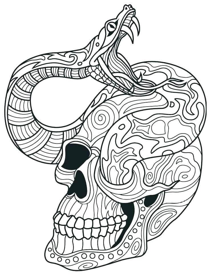 Intricate Sugar Skull Coloring Pages For Adults