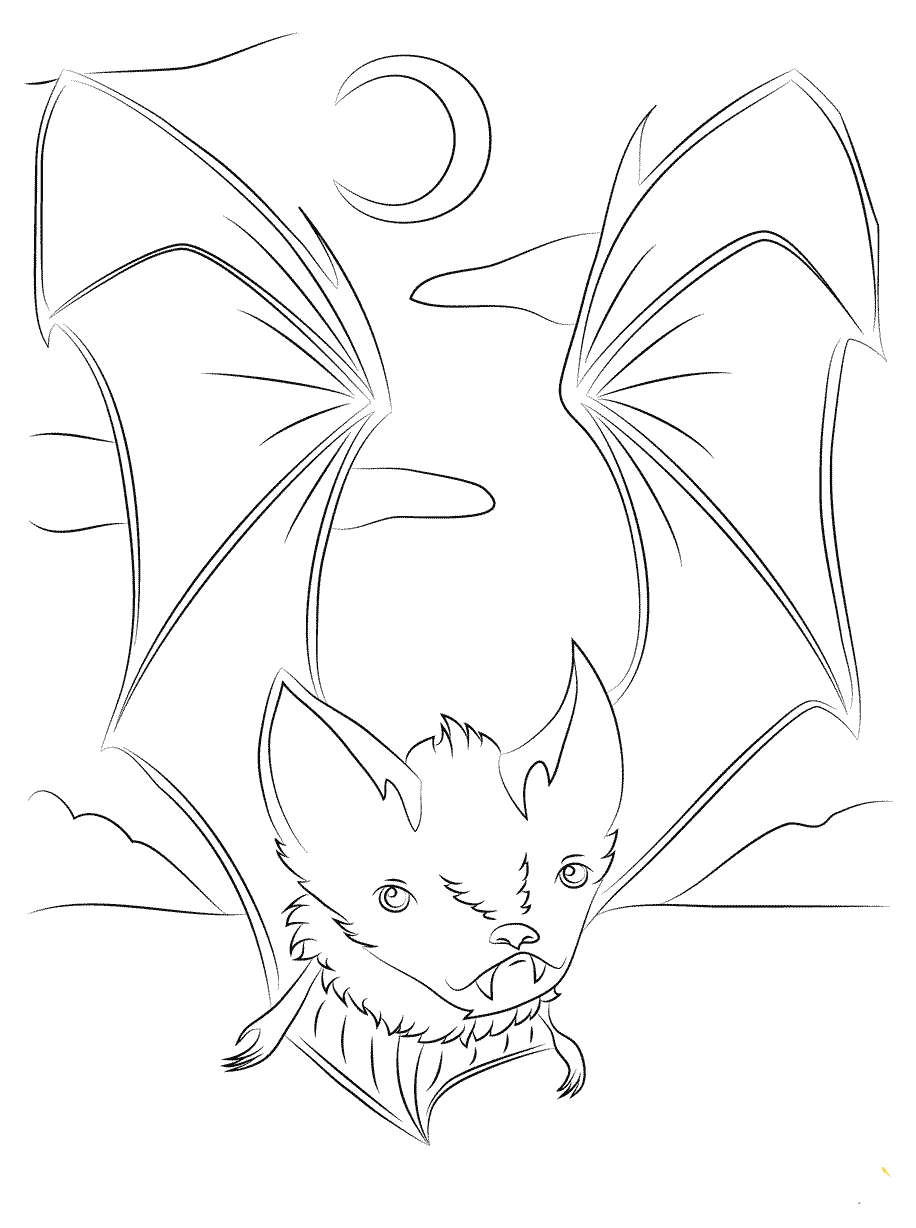 Nocturnal Bat Coloring Pages