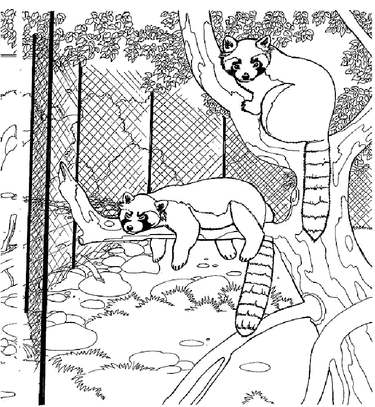 Zoo Animal Coloring Pages PDF
