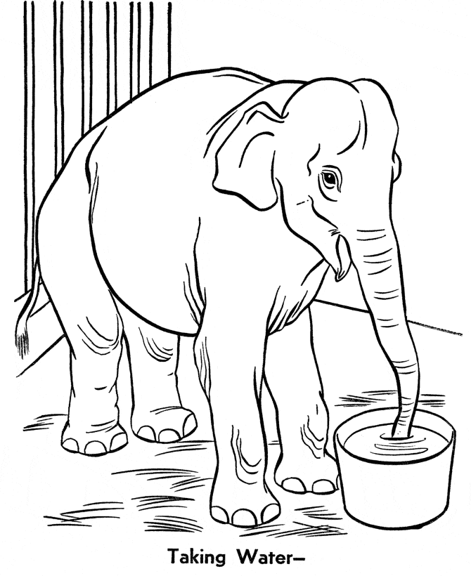 Free Printable Zoo Coloring Pages For Kids