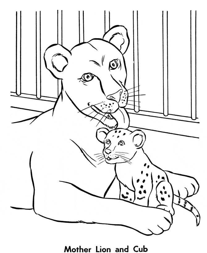 Zoo Lion Coloring Pages