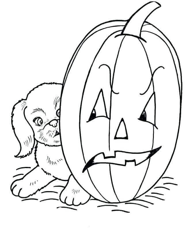 30 Free Printable Jack O Lantern Coloring Pages