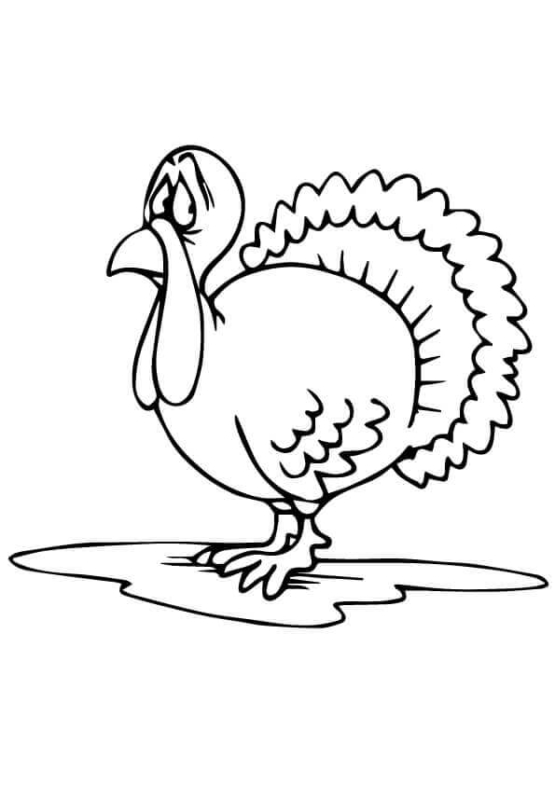30 Free Turkey Coloring Pages Printable