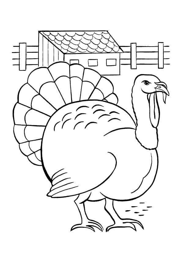 30 Free Turkey Coloring Pages Printable - Slate Turkey Coloring Page 