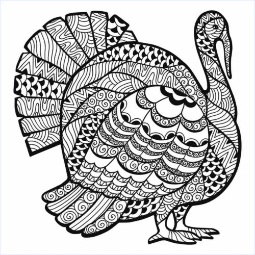 Turkey Coloring Pages For Adults