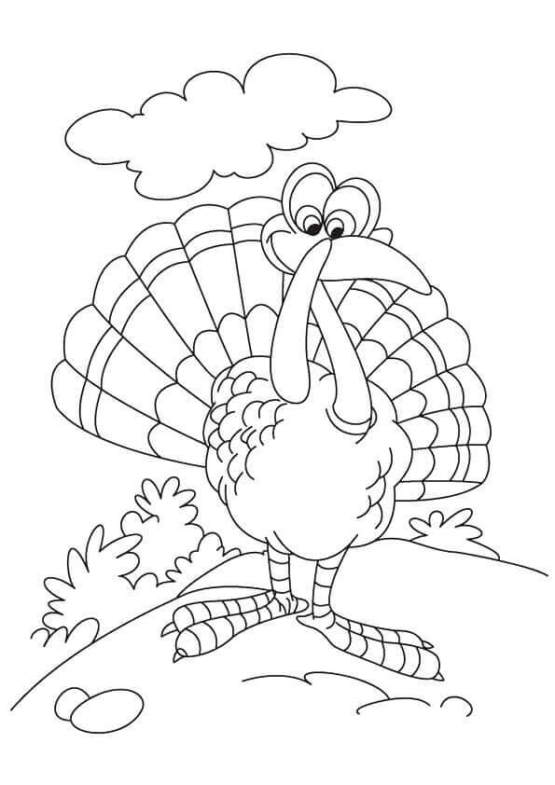 30 Free Turkey Coloring Pages Printable - Turkey Coloring Pages Printable 555x785 