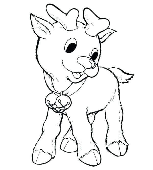 Baby Reindeer Coloring Pages