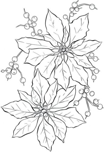 December Flower Poinsettia Coloring Page