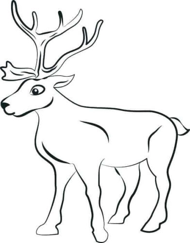 Reindeer Coloring Pages Printable