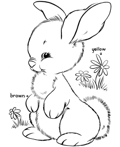 Bunny Coloring Pages Printable