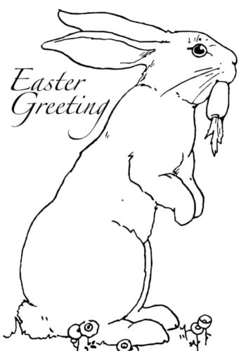 Easter Rabbit Coloring Image