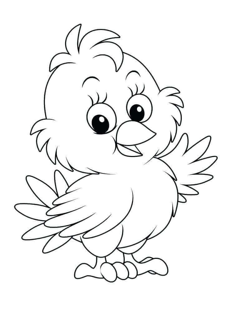 cute-baby-chick-pages-coloring-pages