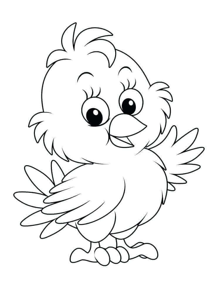 Cute Baby Chick Pages Coloring Pages cute-baby-chick-pages-coloring-pages