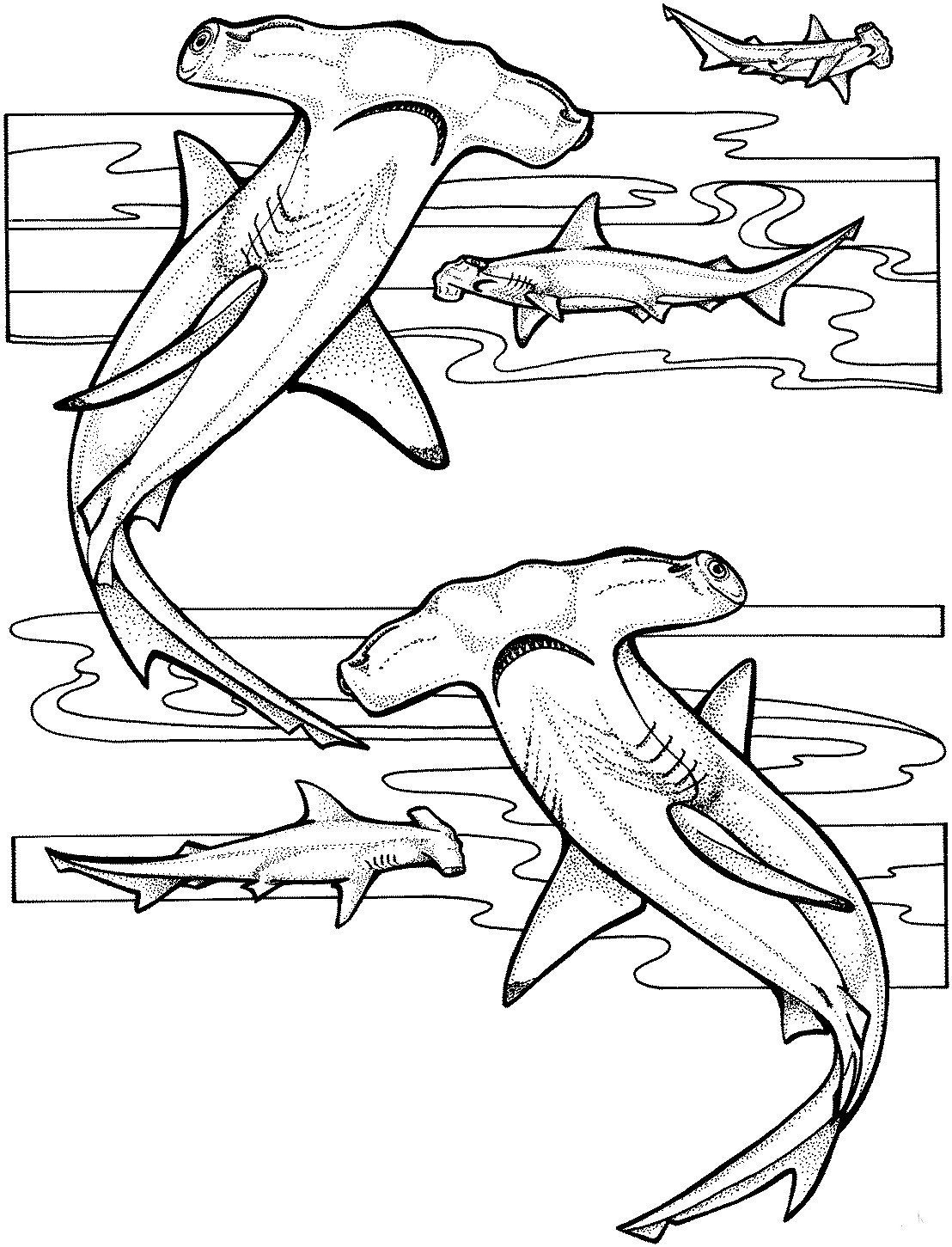Hammerhead Shark Coloring Pages Printable