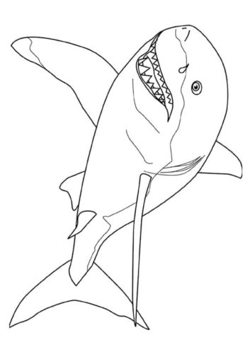 Mako Shark Coloring Page