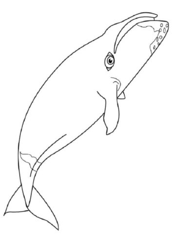 Megalodon Shark Coloring Page