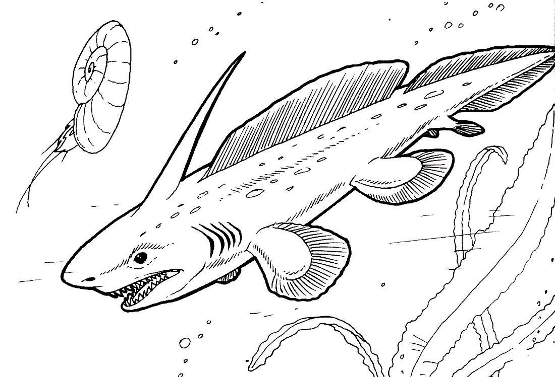 Pleuracanthus The Prehistoric Shark coloring page