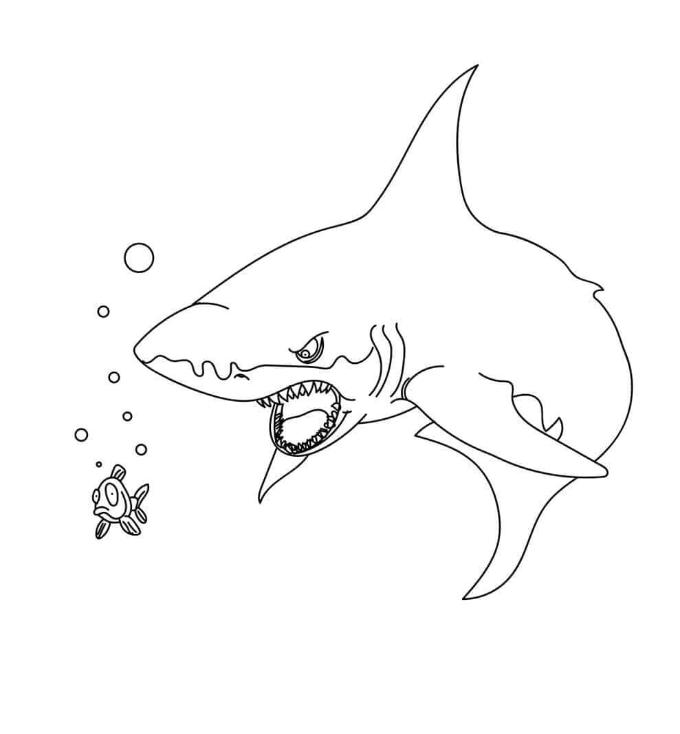 Download 33 Free Shark Coloring Pages Printable