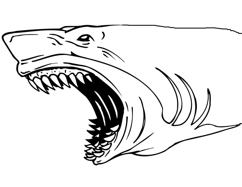 Scary Shark Coloring Page