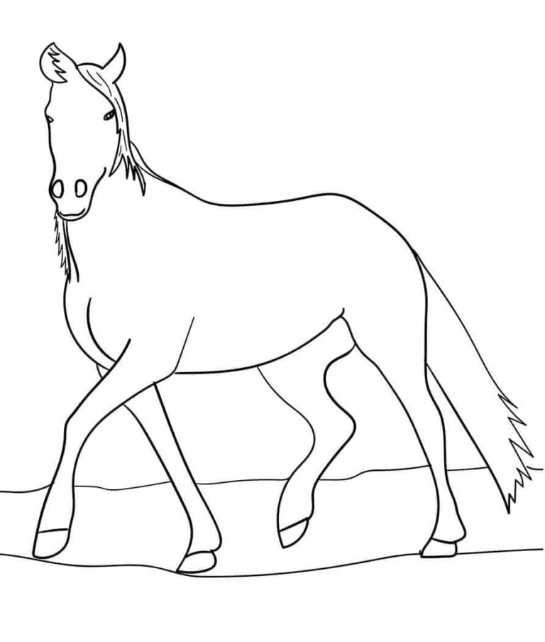35 Free Horse Coloring Pages Printable