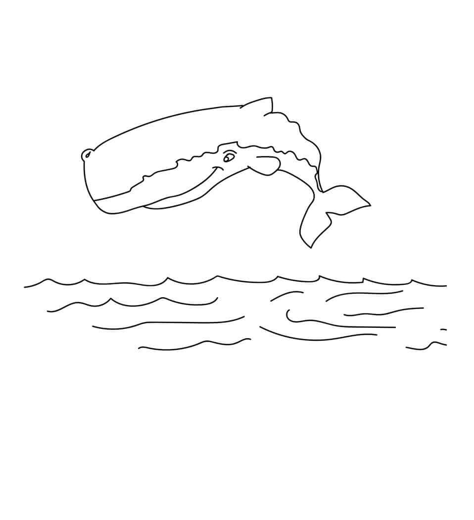 25 Free Whale Coloring Pages Printable