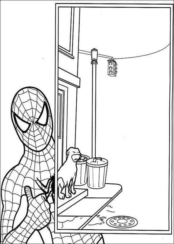Coloring Page Of Spiderman