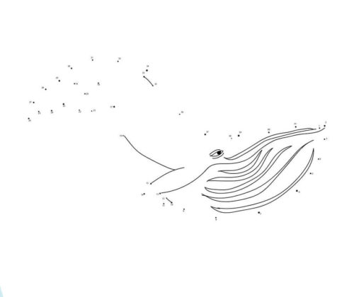 Connect The Dots Whale coloring page