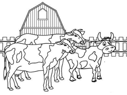 Farm Animal Cows coloring page