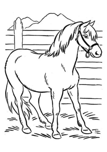 Farm Animal Horse coloring page