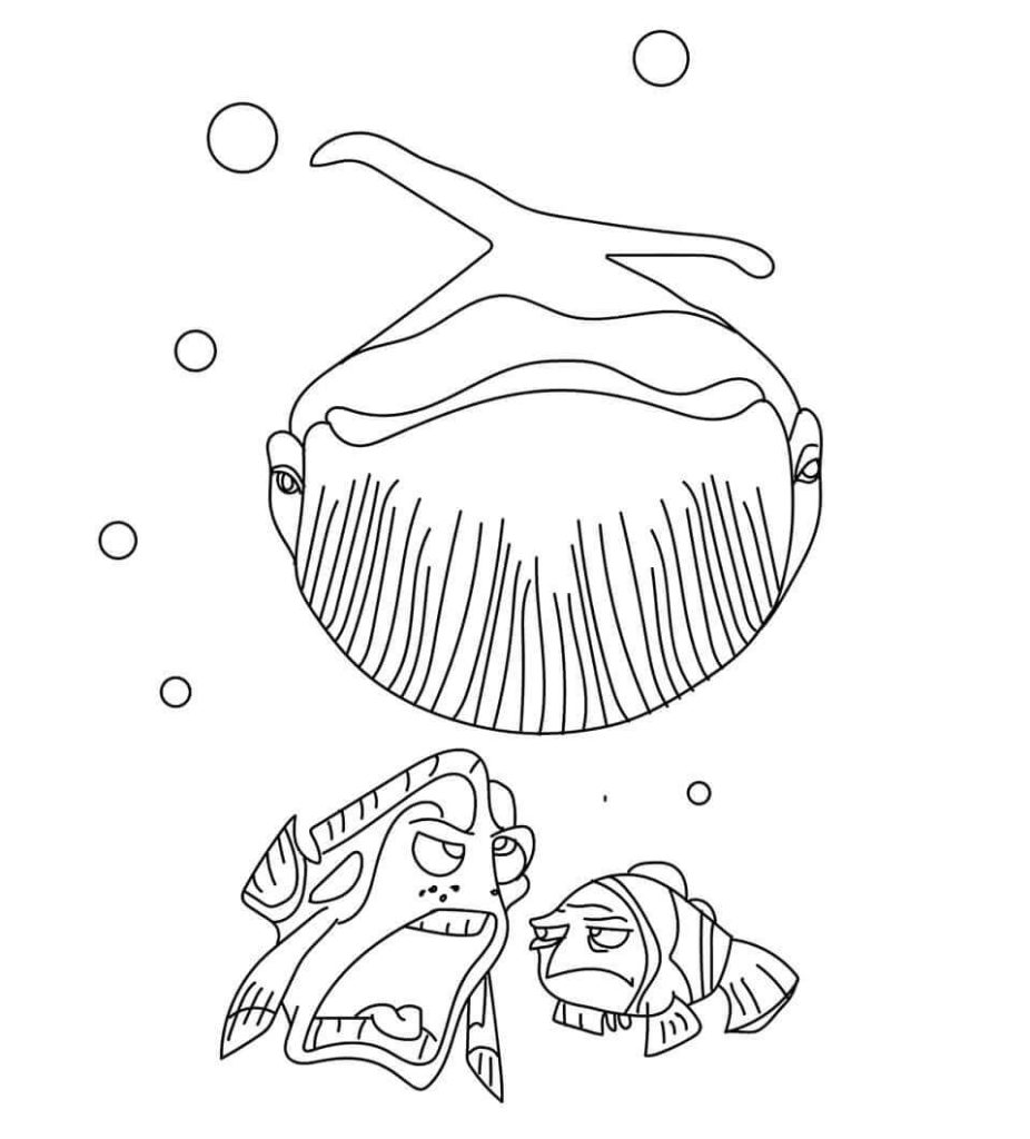 25 Free Whale Coloring Pages Printable