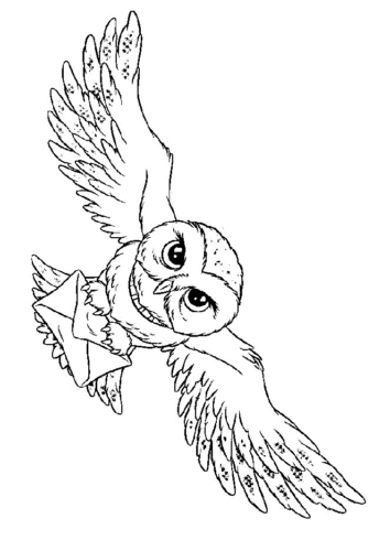 Harry Potter coloring pictures Hedwig