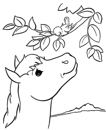 Horse Talking To A Bird Coloring Page
