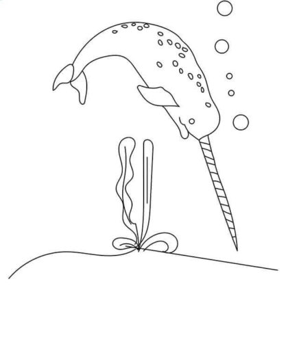 Narwhal Whale coloring page