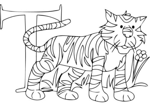 T for Tiger coloring page