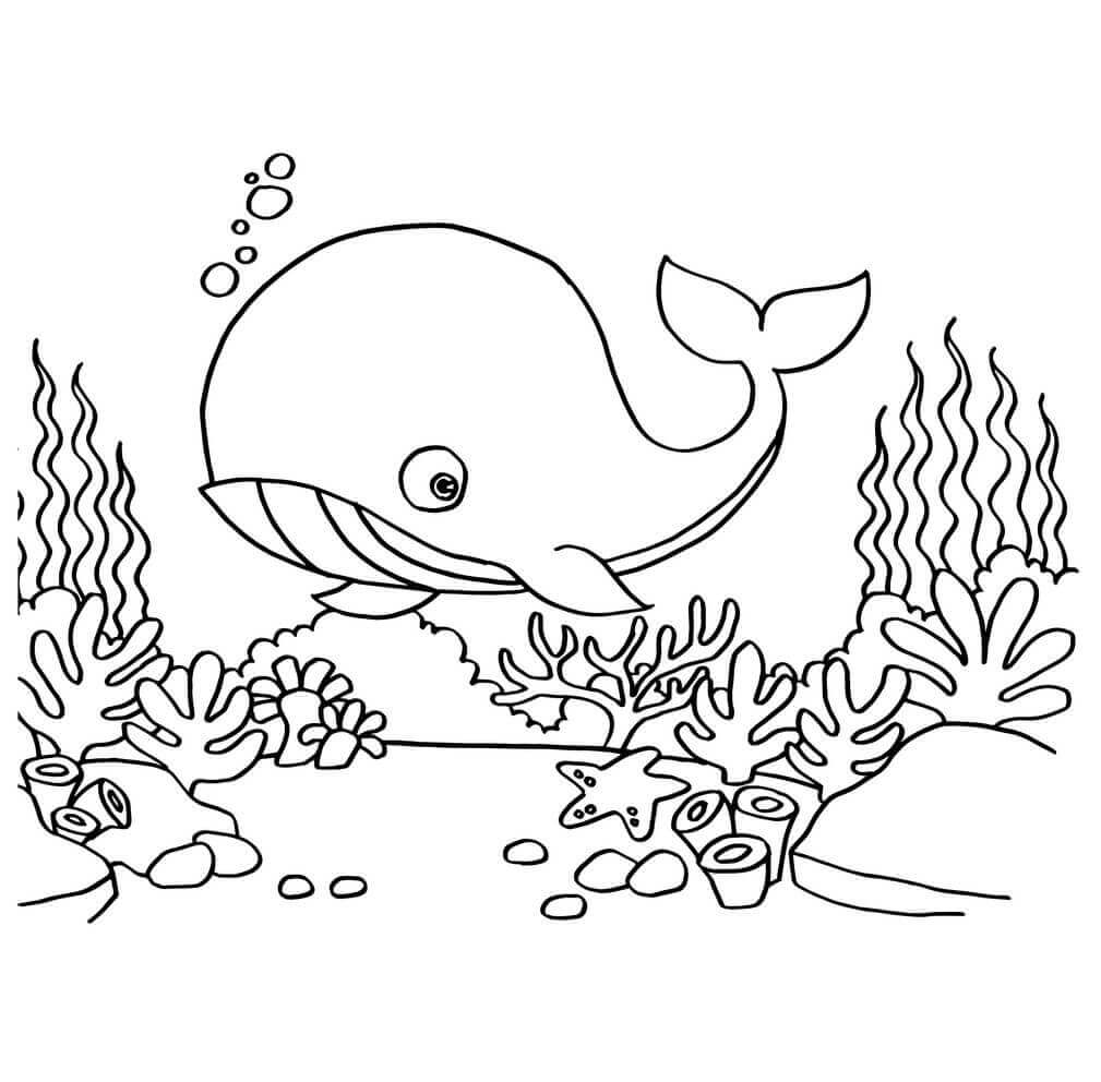 Whale In The Ocean coloring page
