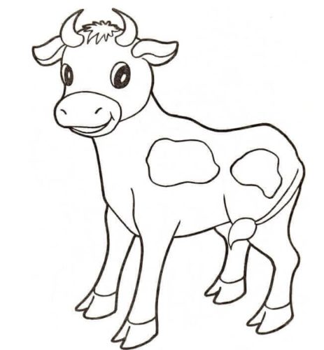 30 Free Cow Coloring Pages Printable