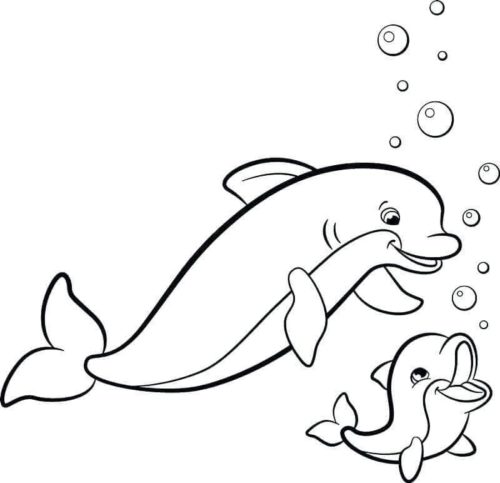 30 Free Dolphin Coloring Pages Printable