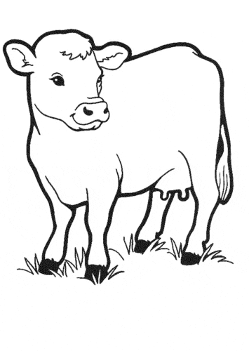 30 Free Cow Coloring Pages Printable