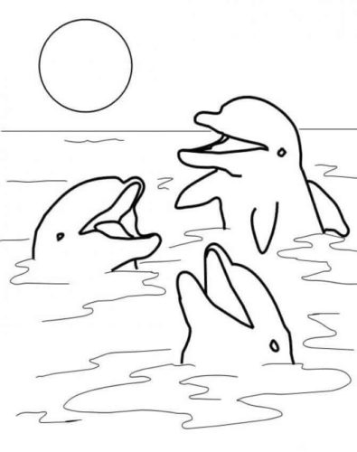 Cheerful Dolphins