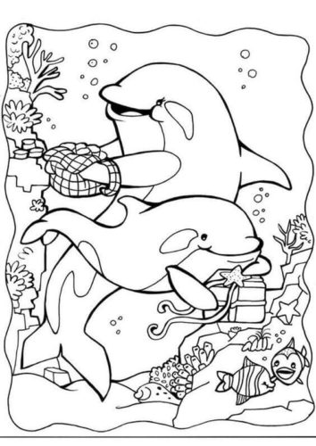 Coloring Pictures Of Dolphins
