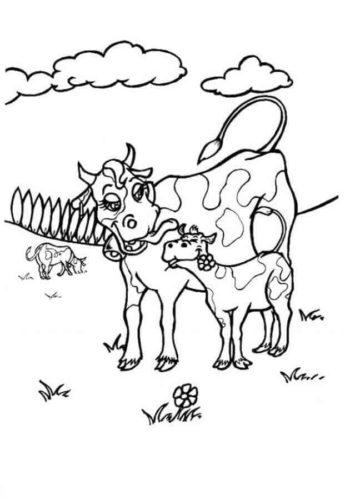 Cow And Calf Coloring Page