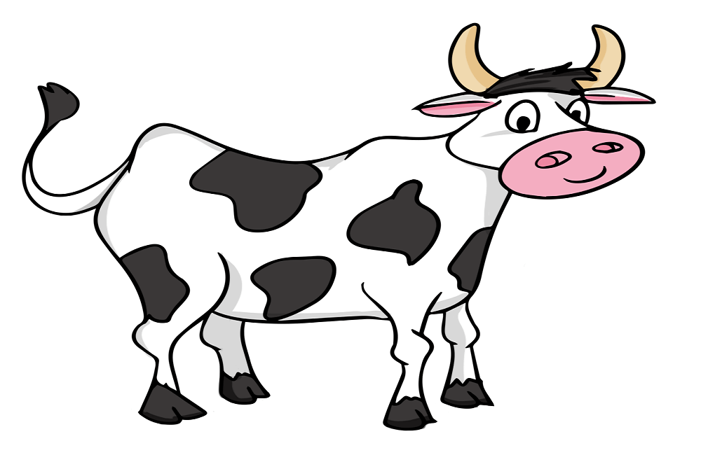 coloring pages of cows free printable