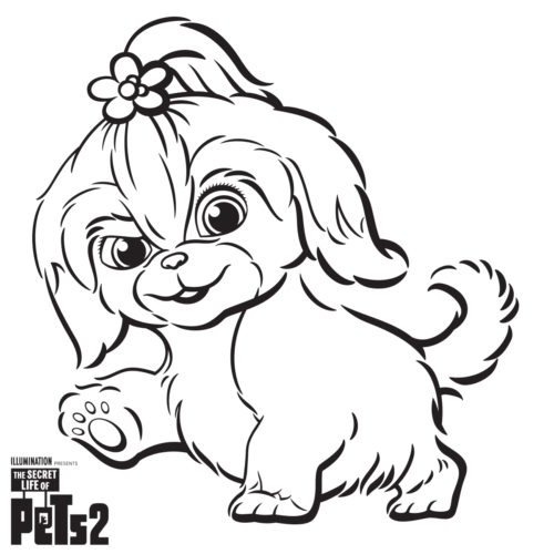 Daisy from The Secret Life Of Pets 2 Coloring Sheet