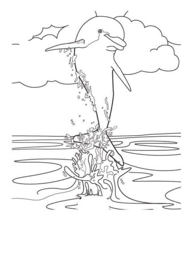 Dolphin Cartoon Coloring Page