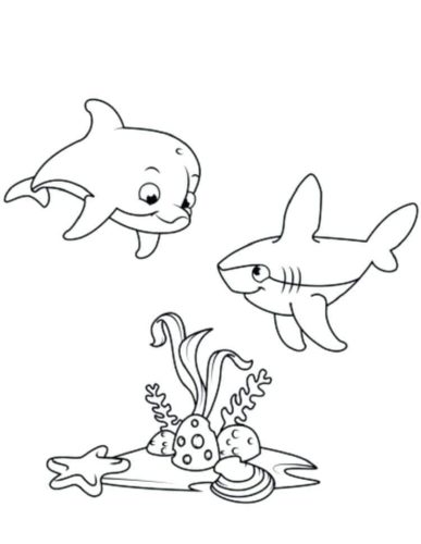 Dolphin Coloring Book