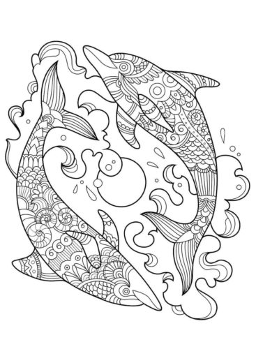 Dolphin Coloring Pages For Kids