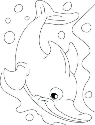 Dolphin Coloring Pages Online